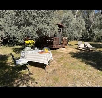 Hotel Roulotte / Tiny House Dans Les Alpilles Saint-Rémy-de-Provence Exterior foto